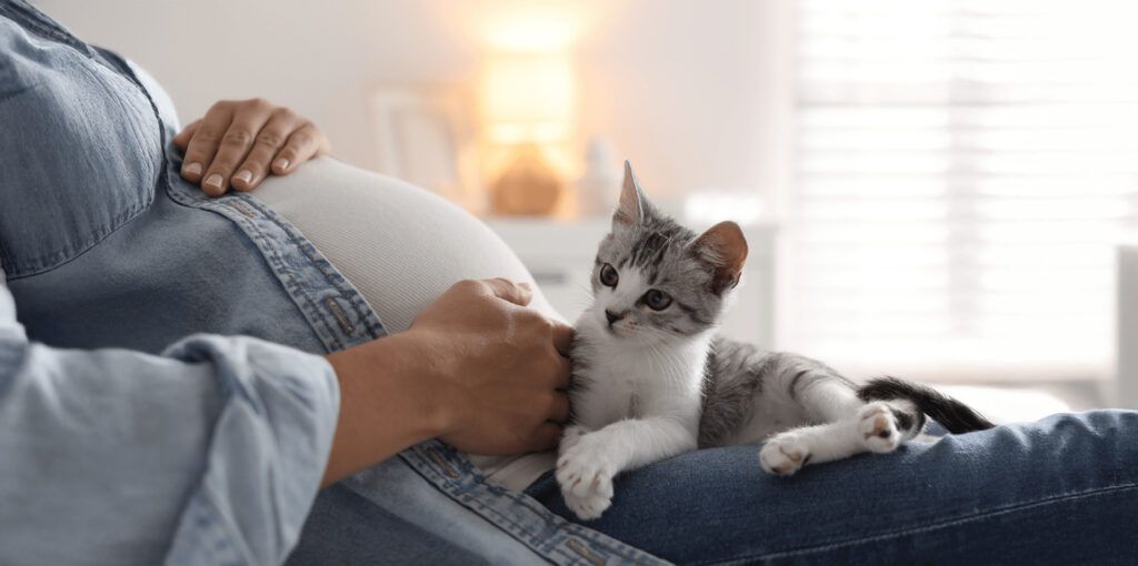 zarażenie toksoplazmozą